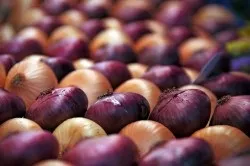Лук вирощування і догляд своїми руками (догляд цибулю вирощування севка ріпчастої) Лук вирощування і догляд своїми руками