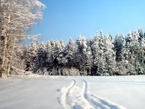 Місячний календар садівника-городника на 2017 рік (зростаюча Місяць знаку) Місячний календар садівника-городника на 2017 рік