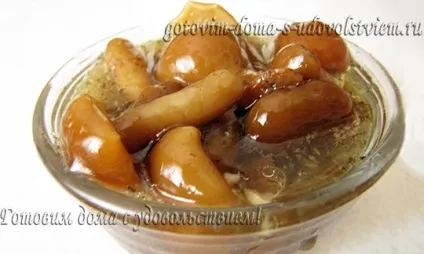 Мариновані гриби по корейськи (гриби швидкого приготування) Мариновані гриби по корейськи