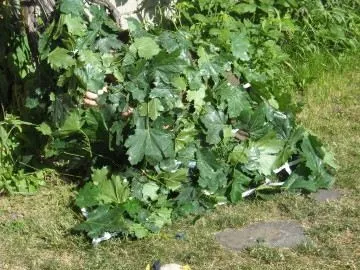 Маскувальна сітка своїми руками (покрокові фото) - легка справа (сітка) Маскувальна сітка своїми руками (покрокові фото) - легка справа