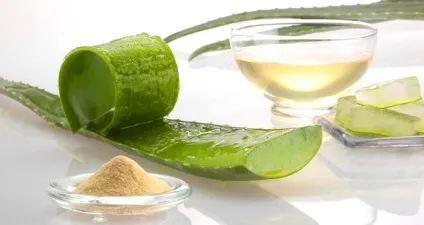 Маски з алое в домашніх умовах рецепти, поради