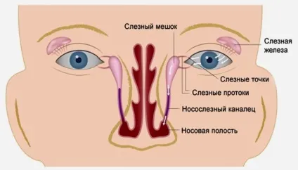 Масаж очі у новонародженого