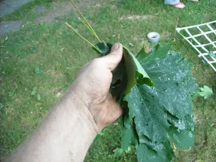 Маскувальна сітка своїми руками (покрокові фото) - легка справа (сітка) Маскувальна сітка своїми руками (покрокові фото) - легка справа
