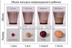 Скільки потрібно молока новонародженому на одне годування (таблиця) (новонародженому) Скільки потрібно молока новонародженому на одне годування (таблиця)