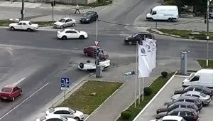 Смішні коти в коробках