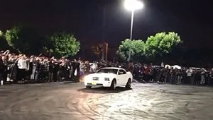 Смішні коти в коробках