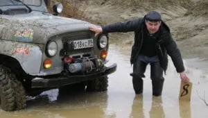 Смішні коти в коробках