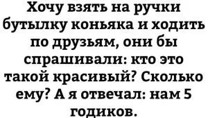 Смішні коти в коробках