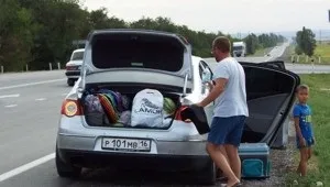 Смішні коти в коробках