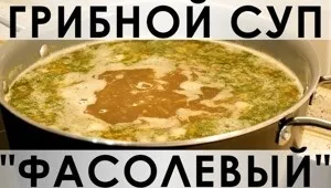 Смішні коти в коробках