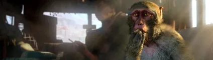 Завантажити збереження для far cry 4 (Побічні місії проходили) Завантажити збереження для far cry 4