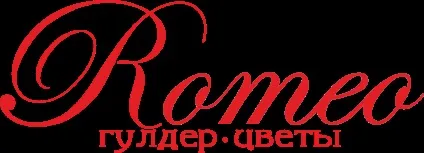 Служба універсальної доставки тез тез