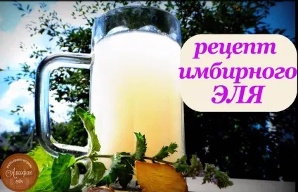 Слабоалкогольні напої домашнього приготування - квас, сидр, глінтвейн (як приготувати сидр) Слабоалкогольні напої домашнього приготування - квас, сидр, глінтвейн