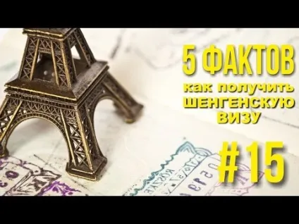 Скільки робиться шенгенська віза і який термін оформлення