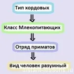 Методи дослідження в науці, дистанційні уроки