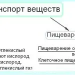 Методи дослідження в науці, дистанційні уроки