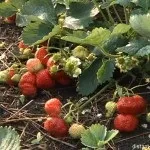 Методи дослідження в науці, дистанційні уроки