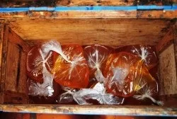 Медова сита для підгодівлі бджіл - секрети приготування (сита) Медова сита для підгодівлі бджіл - секрети приготування