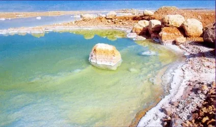 Мертве море цікаві факти (цікаві) Мертве море цікаві факти
