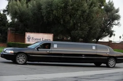 Майкл Джексон похований на знаменитому кладовищі forest lawn (lawn) Майкл Джексон похований на знаменитому кладовищі forest lawn