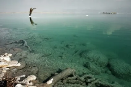 Мертве море цікаві факти (цікаві) Мертве море цікаві факти