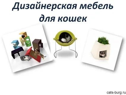 Меблі для кішок, яка прикрасить інтер'єр квартири, місто кішок (своїми руками) Меблі для кішок, яка прикрасить інтер'єр квартири, місто кішок