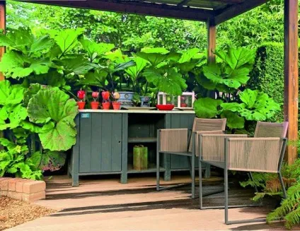 Місце для відпочинку в саду варіанти і рекомендації з оформлення (варіанти) Місце для відпочинку в саду варіанти і рекомендації з оформлення