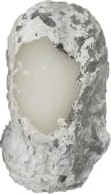 Молоко священної корови (корови) Молоко священної корови