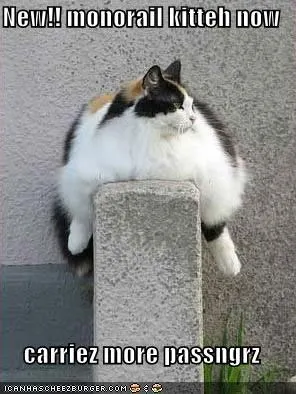 Monorail cat, netlore lolcats, monorail cat, монорельсова кішка, кішки