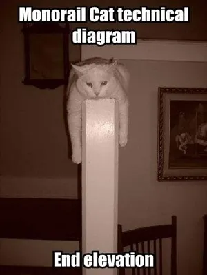 Monorail cat, netlore lolcats, monorail cat, монорельсова кішка, кішки