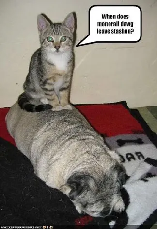 Monorail cat, netlore lolcats, monorail cat, монорельсова кішка, кішки