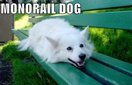 Monorail cat, netlore lolcats, monorail cat, монорельсова кішка, кішки