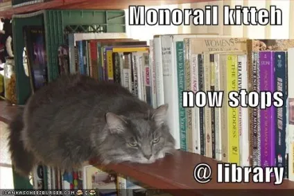 Monorail cat, netlore lolcats, monorail cat, монорельсова кішка, кішки