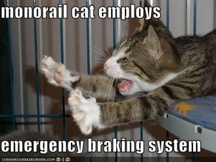 Monorail cat, netlore lolcats, monorail cat, монорельсова кішка, кішки