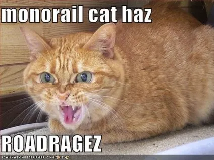 Monorail cat, netlore lolcats, monorail cat, монорельсова кішка, кішки