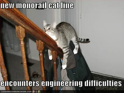 Monorail cat, netlore lolcats, monorail cat, монорельсова кішка, кішки