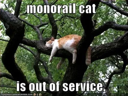 Monorail cat, netlore lolcats, monorail cat, монорельсова кішка, кішки