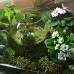 Мох в декорі