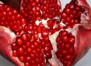 Чи можна їсти гранат з кісточками, користь і шкода кісточок граната (шкода) Чи можна їсти гранат з кісточками, користь і шкода кісточок граната