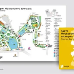 Московський зоопарк інформація, новини, фото, години роботи, адресу, схема проїзду (москва, Україна) (московський) Московський зоопарк інформація, новини, фото, години роботи, адресу, схема проїзду (москва, Україна)