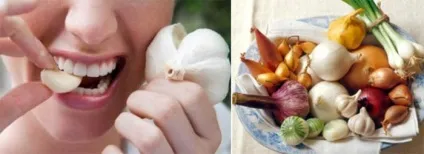 Чи можна вагітним часник чим корисний і шкідливий продукт для жінки (корисний) Чи можна вагітним часник чим корисний і шкідливий продукт для жінки