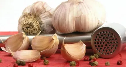 Чи можна вагітним часник чим корисний і шкідливий продукт для жінки (цибуля) Чи можна вагітним часник чим корисний і шкідливий продукт для жінки