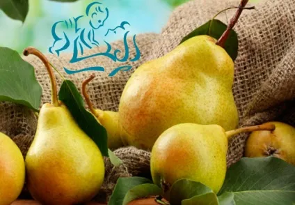 Чи можна їсти груші при грудному вигодовуванні новонародженого (можна) Чи можна їсти груші при грудному вигодовуванні новонародженого