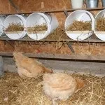 Підлогове утримання курей несучок в домашніх умовах відео (несучок домашніх умовах) Підлогове утримання курей несучок в домашніх умовах відео