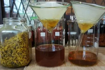 Настоянка для підвищення імунітету для дітей, в домашніх умовах (імунітету) Настоянка для підвищення імунітету для дітей, в домашніх умовах