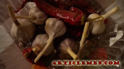 Народні засоби лікування часником (засоби лікування часником) Народні засоби лікування часником
