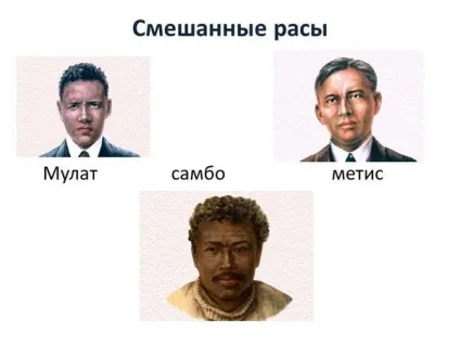 Трохи цікавого про людські раси (людських) Трохи цікавого про людські раси