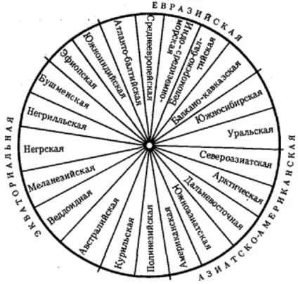 Трохи цікавого про людські раси (людських) Трохи цікавого про людські раси