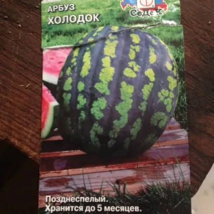 Негативний досвід - теж досвід