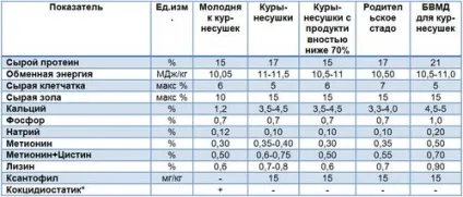 Норма годування курей-несучок добова таблиця в домашніх умовах